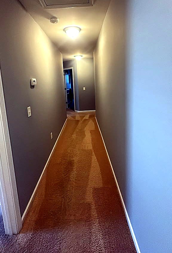 Pollen, red clay and floors: cleaning tips for Upstate SC homes